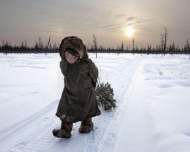 foto Alessandra_Meniconzi