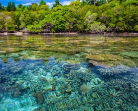 Crear L'Atl&agrave;ntida.