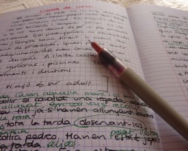 Esbossos d'un relat.