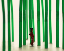 foto Tanaka_Tatsuya_10