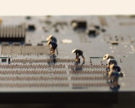 foto Tanaka_Tatsuya_13